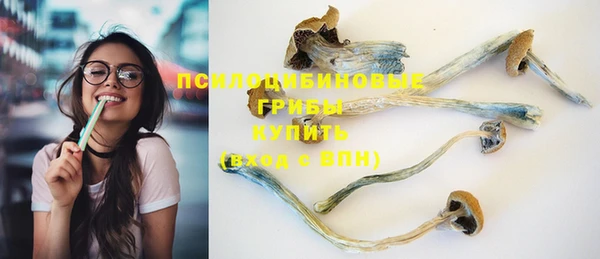 mdpv Михайлов