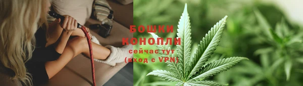 трава Абаза